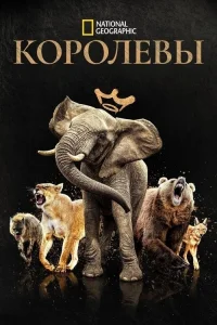 Смотреть онлайн Королевы