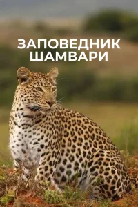Смотреть онлайн Заповедник Шамвари